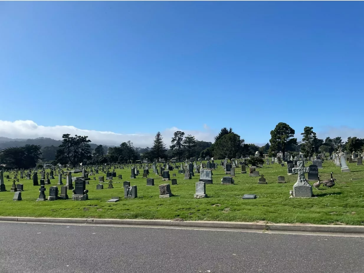 One Cola graveyard