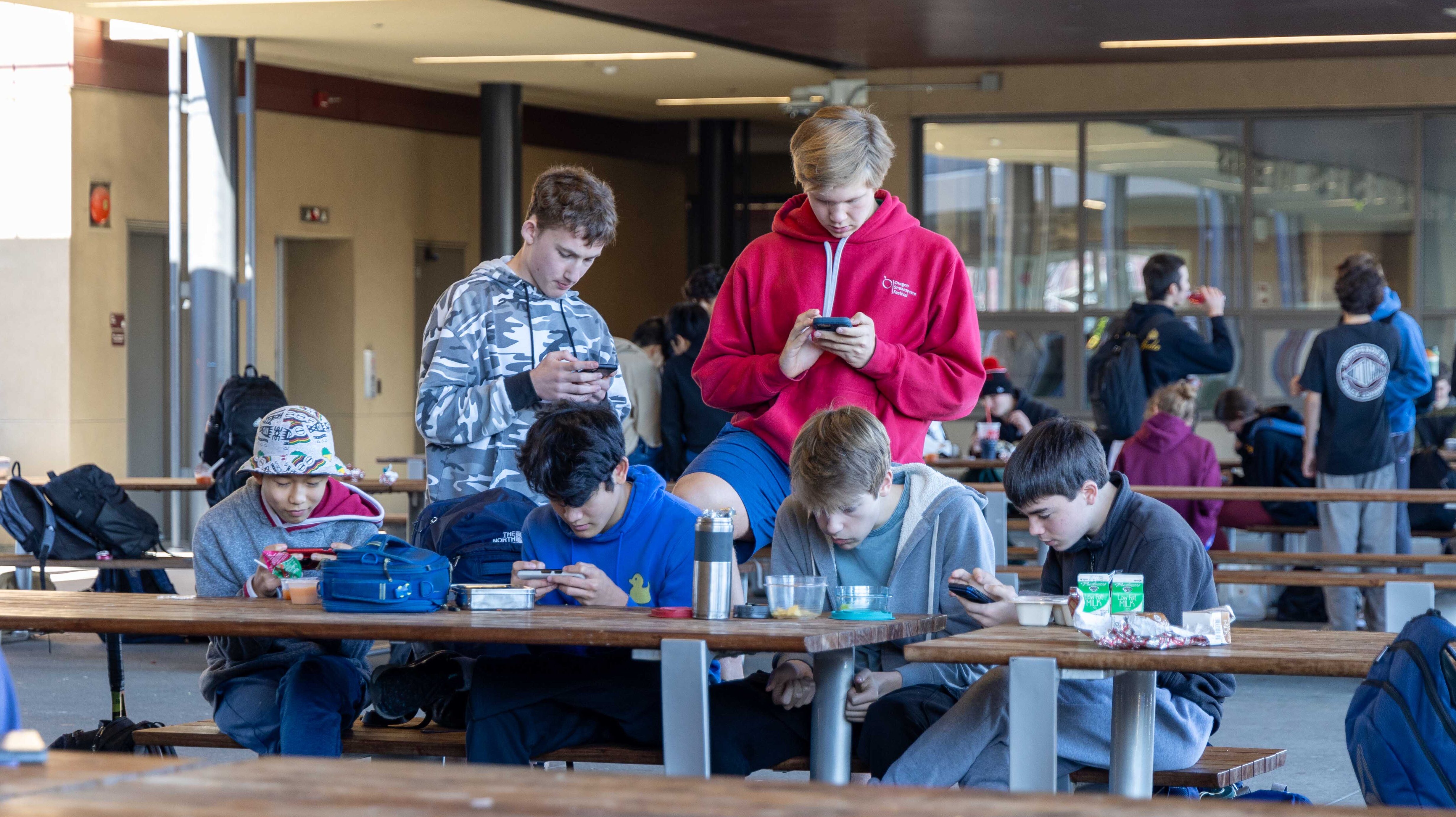 Kids on their phones, Online Safety