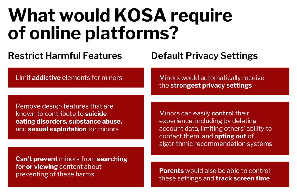 Kids Online Safety Act Infographic